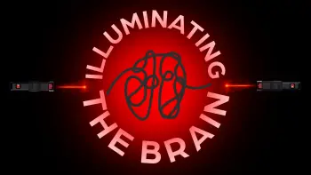 Illuminating the Brain